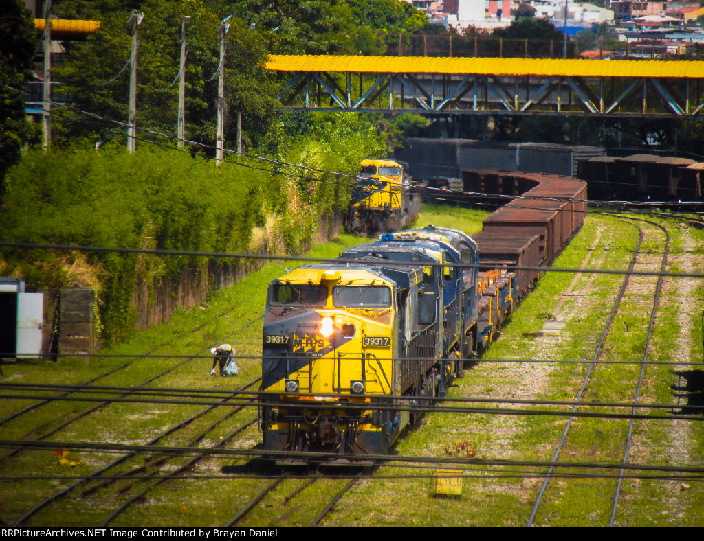 MRSL 3931